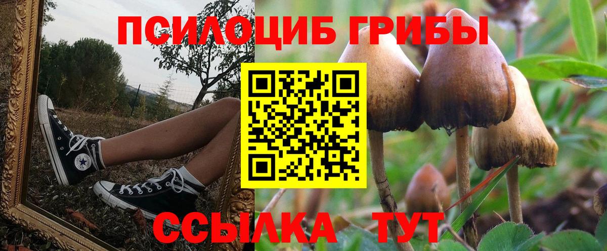 Псилоцибиновые грибы Cubensis Алапаевск