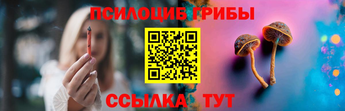 Алапаевск  Псилоцибиновые грибы Cubensis  купить   Вход с VPN 